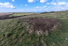 Nanquidno Downs Tumulus and Hut Circles