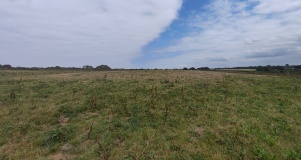 Coldharbour barrow