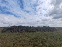 Trevarnon Round