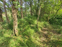 Gwithian Round