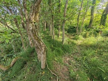 Gwithian Round