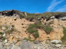 Lowland Point