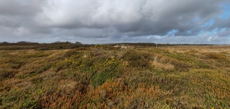 Goonhilly Downs Barrows