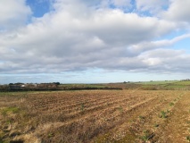 Goonlaze Downs Tumuli