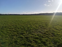 Goonlaze Downs Tumuli