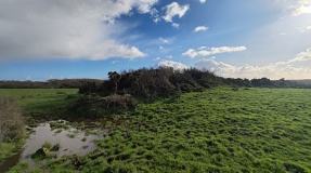 Trewithno Tumuli
