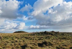 Trewithno Tumuli