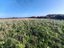 Traboe Barrow Cemetery