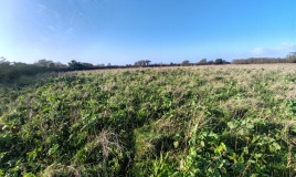 Traboe Barrow Cemetery