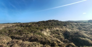 Rosuick Tumuli