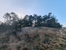 Croft Pascoe Forrest Barrows