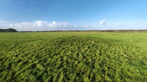 Croft Pascoe Forrest Barrows