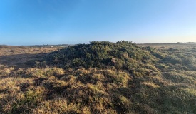 Goonhilly Downs Barrows