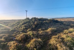 Goonhilly Downs Barrows