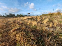 Goonhilly tumuli
