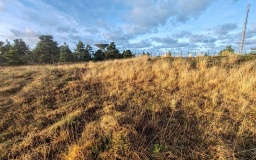 Goonhilly tumuli