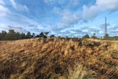 Goonhilly tumuli