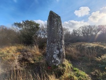 Dry Tree Menhir