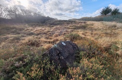 Goonhilly tumuli