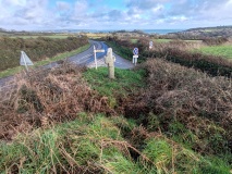Tremethick Cross