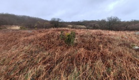 Lowland Point