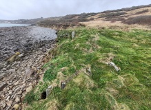 Lowland Point