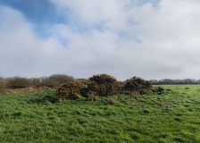 Penhale Barrow 1