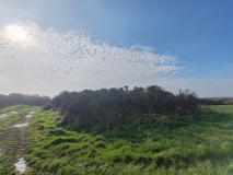 Lizard Downs Barrow