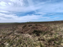 Truthwall Common barrows