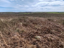 Truthwall Common barrows