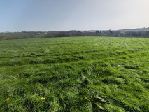 Kaledna Round
