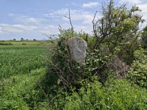 Tremenheere (Helston)
