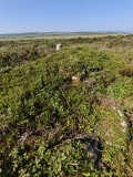 Watch Croft Cairns