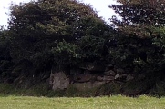 Barnatt's Stone - PID:203061