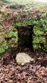 Lady Well (Shevlock) - PID:20907