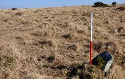 Trehudreth Downs row