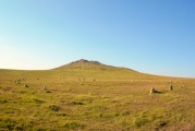 Fernacre - PID:133260