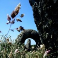 Men-An-Tol - PID:29488