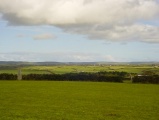 Pipers (nr Merry Maidens) - PID:9942