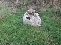 Newpark Cross