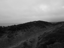 Crane Castle