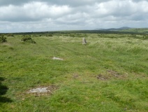 Cardinham Moor stone