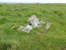 Trehudreth Downs B
