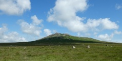 Fernacre - PID:244859