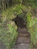 St Euny's Well (Carn Euny)