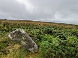 Boskednan Menhir 2 - PID:230493