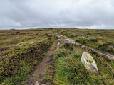 Boskednan Menhir 1 - PID:230494