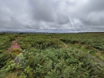 Ding Dong Standing Stone