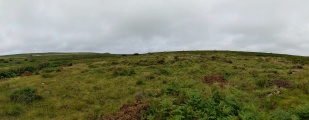 Bosiliack Settlement - PID:230498