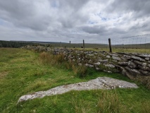 Emblance Down stone row